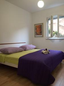 Fotografia z galérie ubytovania Apartments with a parking space Stari Grad, Hvar - 13287 v Starom Grade