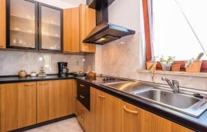 Kuchyň nebo kuchyňský kout v ubytování Apartments with WiFi Opatija - Volosko, Opatija - 13300