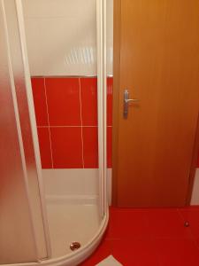 ein Bad mit einer Dusche mit roten Fliesen in der Unterkunft Apartments by the sea Cres - 13312 in Cres