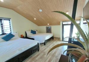 ein Schlafzimmer mit 2 Betten und einer Topfpflanze in der Unterkunft Giao Hòa Homestay Hội An in Hoi An