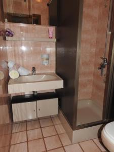 a bathroom with a sink and a shower and a toilet at Apartments by the sea Brna, Korcula - 13492 in Smokvica