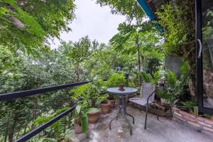 Um jardim no exterior de Deishaview Jungle Hostel