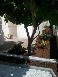 Fotografia z galérie ubytovania Apartments with a parking space Okrug Gornji, Ciovo - 13562 v Trogiri + 21 fotografií