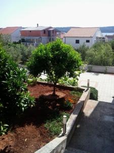 Fotografia z galérie ubytovania Apartments with a parking space Okrug Gornji, Ciovo - 13562 v Trogiri