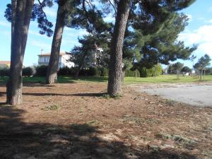 Zdjęcie z galerii obiektu Triple Room Rovinj 13591a w Rovinj