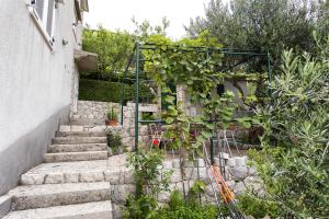 Fotografia z galérie ubytovania Apartments by the sea Brela, Makarska - 13620 v destinácii Brela