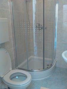 a bathroom with a shower with a toilet and a sink at Apartments by the sea Prapratno (Peljesac) - 13500 in Ston