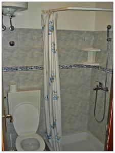 łazienka z toaletą i prysznicem w obiekcie Apartments by the sea Lumbarda, Korcula - 12839 w mieście Lumbarda