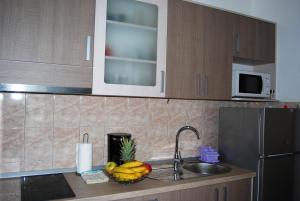 Kuchnia lub aneks kuchenny w obiekcie Apartments by the sea Lumbarda, Korcula - 12839