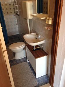a bathroom with a toilet and a sink at Double Room Zambratija 11875a in Zambratija