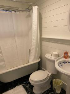 uma casa de banho com um WC, um chuveiro e um lavatório. em Walk to Bay Street and Historic Downtown Beaufort! Close to Parris Island MCRD!! em Beaufort