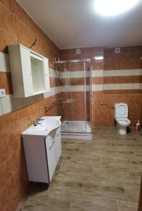 La salle de bains est pourvue d'un lavabo, d'une douche et de toilettes. dans l'établissement Apartments with a parking space Zavalatica, Korcula - 9690, à Zavalatica