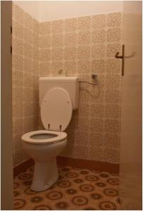 een badkamer met een wit toilet in een kamer bij Apartments with a parking space Kali, Ugljan - 14590 in Kali