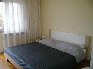 - une chambre avec un lit doté d'une couverture bleue et d'une fenêtre dans l'établissement Apartments with a parking space Palit, Rab - 14610, à Rab