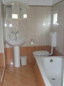 a bathroom with a toilet and a sink at Apartments with WiFi Vodnjan, Fazana - 14650 in Vodnjan