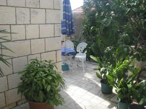 Fotografia z galérie ubytovania Apartments with WiFi Dubrovnik - 14722 v Dubrovníku
