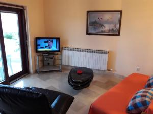 een woonkamer met een tv en een bank bij Apartments by the sea Kozino, Zadar - 14723 in Petrcane