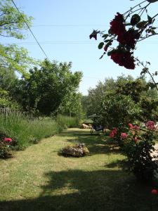 Fotografia z galérie ubytovania Apartment Pasman 14788c v destinácii Mali Pašman + 16 fotografií