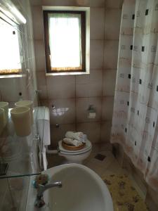 ein Bad mit einem Waschbecken, einem WC und einem Fenster in der Unterkunft Apartment Pasman 14788c in Mali Pašman