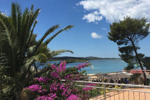 Fotografie z fotogalerie ubytování Apartments by the sea Pirovac, Sibenik - 14820 v destinaci Pirovac