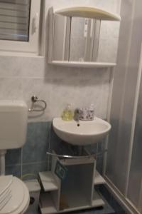 ein Badezimmer mit Waschbecken und Spiegel in der Unterkunft Apartments by the sea Privlaka, Zadar - 14816 in Privlaka + 13 Fotos