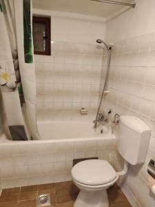 a bathroom with a white toilet and a bath tub at Apartments with a parking space Smrika, Kraljevica - 14812 in Šmrika
