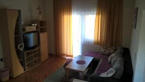 ein Wohnzimmer mit Couch und Fernseher in der Unterkunft Apartments with a parking space Orebic, Peljesac - 14857 in Orebić