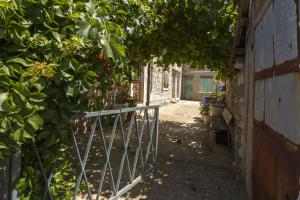 Zahrada ubytování Holiday house with a parking space Okljucna, Vis - 14875