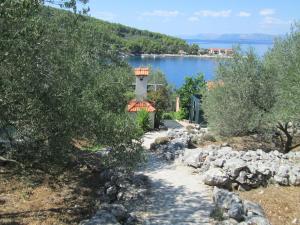 un sentiero che conduce a una casa con vista sull'acqua di Seaside holiday house Cove Bristva, Korcula - 14892 a Prižba