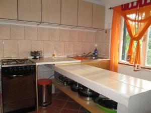 una cucina con piano di lavoro e piano cottura forno superiore di Seaside holiday house Cove Bristva, Korcula - 14892 a Prižba