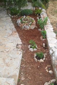 Vonkajšia záhrada v ubytovaní Seaside secluded apartments Cove Skozanje, Hvar - 14899
