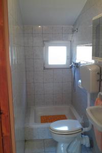 een badkamer met een toilet en een bad bij Seaside secluded apartments Cove Skozanje, Hvar - 14899 in Gdinj