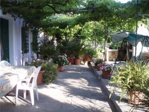Fotografie z fotogalerie ubytování Apartments with a parking space Mali Losinj (Losinj) - 14944 v destinaci Mali Lošinj
