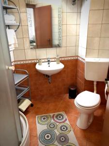 ein Badezimmer mit einem weißen WC und einem Waschbecken in der Unterkunft Apartments and rooms by the sea Opatija - 14937 in Opatija