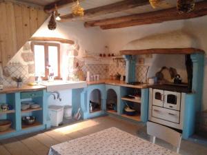 a kitchen with blue cabinets and a sink at Apartments with a parking space Porozina, Cres - 14980 in Filozići