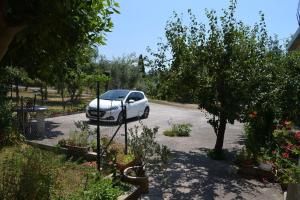 Fotografia z galérie ubytovania Apartments with a parking space Murine, Umag - 14994 v destinácii Umag + 9 fotografií