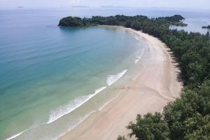 a beach with palm trees and palm trees at Twin Lotus Resort and Spa - SHA Plus in Ko Lanta