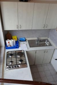 Kuchyň nebo kuchyňský kout v ubytování Apartments by the sea Selce, Crikvenica - 15063