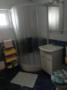 uma casa de banho com um chuveiro e um lavatório. em Apartments with a parking space Lokve, Gorski kotar - 15061 em Lokve