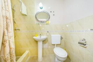 un bagno con un water, un lavandino e uno specchio di Apartments with parking space Zaton, Zadar - 15000 a Zaton Altre 24 foto