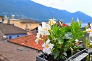 Splošen pogled na gorovje oz. razgled na gore, ki ga ponuja hotel