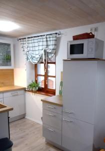 a kitchen with a microwave on top of a refrigerator at Ferienwohnung Tretter 