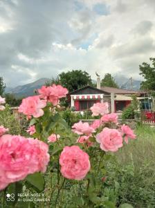 un grupo de rosas rosas frente a una casa en 1957 To Rodo kai to Roido, en Karpenisi