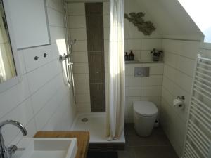 a bathroom with a shower and a toilet and a sink at Hygge Hus Langstedt in Langstedt