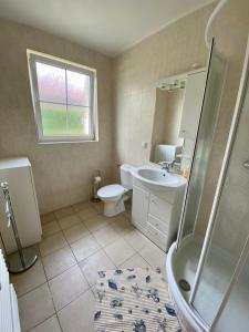 a bathroom with a toilet and a sink and a shower at Vila Heda in Františkovy Lázně