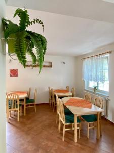 a dining room with tables and chairs and a plant at Vila Heda in Františkovy Lázně