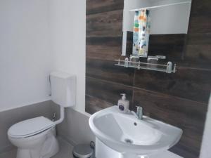 uma casa de banho com um WC branco e um lavatório. em Dumbrava Minunată em Peşteana