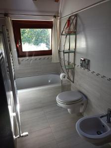 a bathroom with a toilet and a sink and a window at Al Picchio Verde A.P.S. in Cunardo