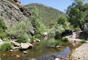 a river in a canyon with rocks and trees at Kampaoh Cabañeros in Navas de Estena