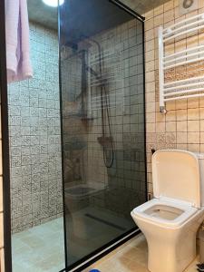 a bathroom with a toilet and a shower at Kazbegi 4 side cottages in Stepantsminda